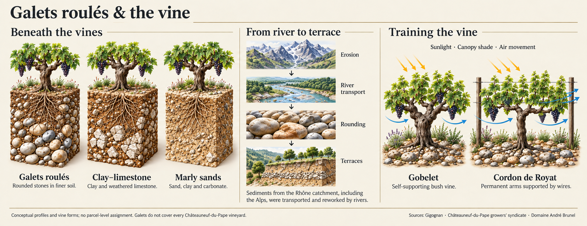 Conceptual illustration of rounded river stones, clay-limestone, marly sands and vine forms
